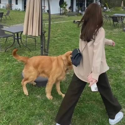 芭比公主历险记